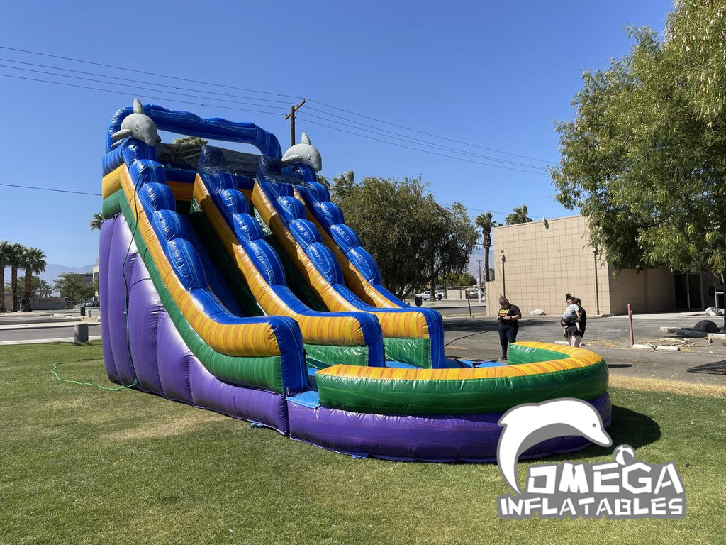 20FT Dual Wavey Dolphin Water Slide