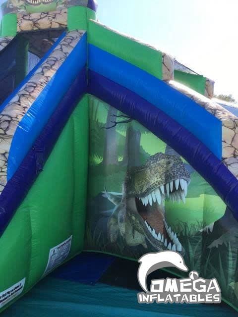 Dinosaur Bounce and Slide DRY